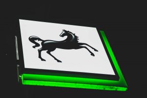 black horse illustration